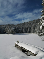 Lake in winter in tirol