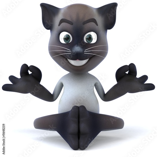 "Chat zen" photo libre de droits sur la banque d'images