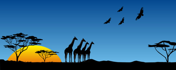Tramonto africano