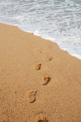 Fototapeta na wymiar Ślady na plaży