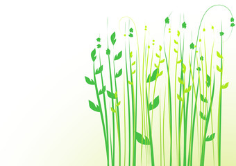 floral background, meadow, garden