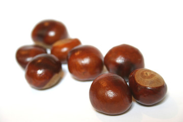 Conkers