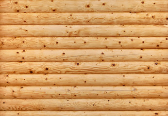 beautiful cut of tree