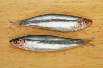 Sprats on board