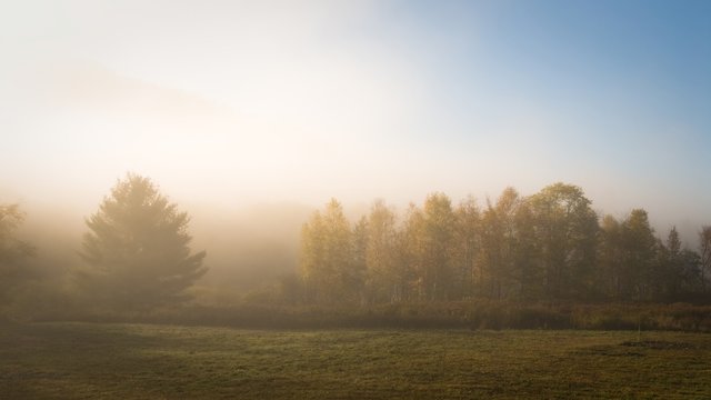 Hazy meadow lit by first rays of soft light