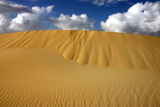 nice sand dune in sahara desert