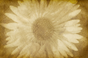 Vintage Style Paper with Flower Imprint