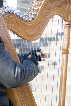 Harpist playing on the street