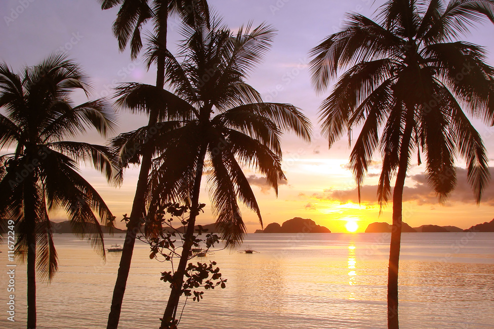 Canvas Prints sunset and palm trees
