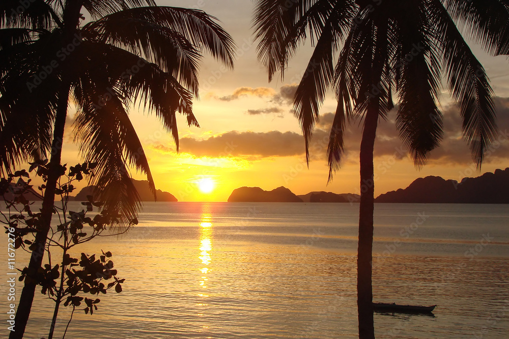 Canvas Prints sunset and palm trees