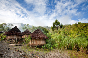 Fototapeta na wymiar Traditional Hut