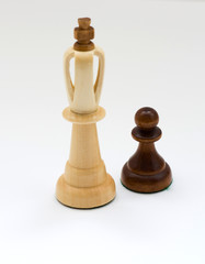King and pawn