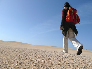 Wanderung durch die Wüste