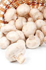 Fresh mushrooms in a basket