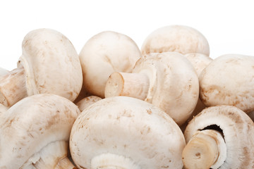 Fresh mushrooms