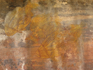 Aboriginal rock paintings