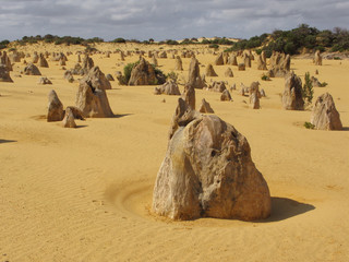 Fototapeta premium Pinnacles desert
