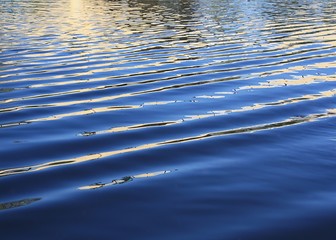golden ripples