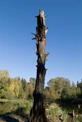 Foggy landscape on lake