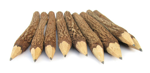 Pencils timbers with bark