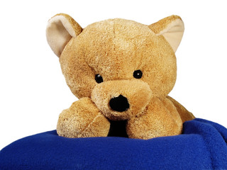 ours en peluche n°2