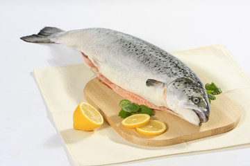 fresh raw salmon