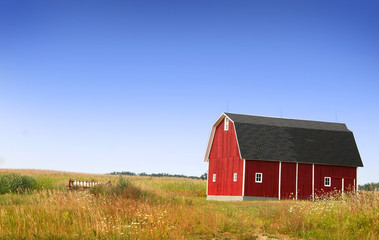 Obraz premium Farm Landscape