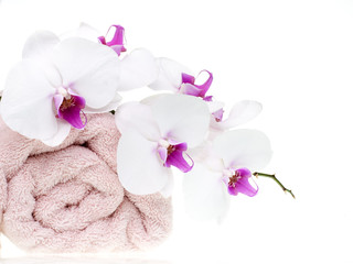 Naklejka na ściany i meble White orchid on towel