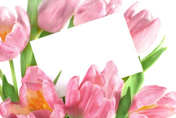 pink tulips with a blank gift tag