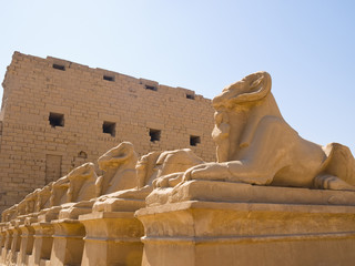 Ram-headed sphinxes at Karnak Temple. Thebes.