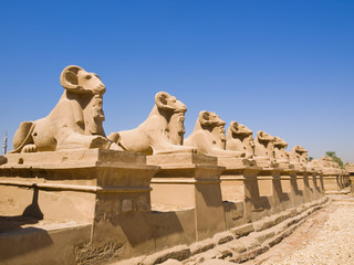 Ram-headed sphinxes at Karnak Temple. Thebes.