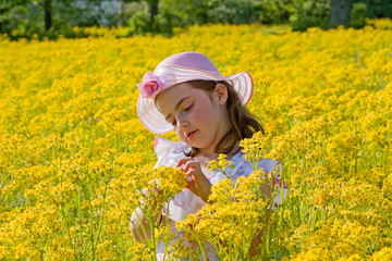 Fototapeta premium Girl Picking Flowers