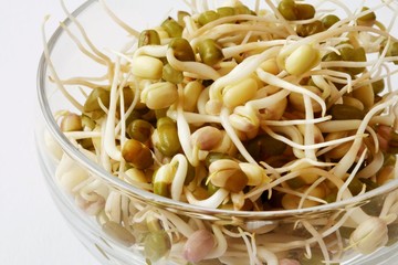 Mung beans seedling