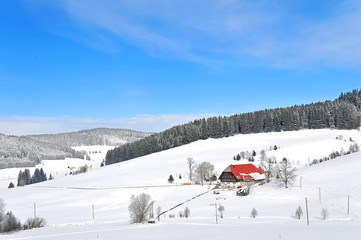 Schwarzwald im Schnee