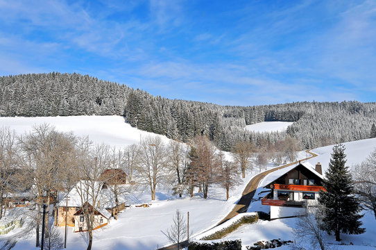 Schwarzwald im Schnee