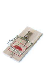 Large Mouse Trap