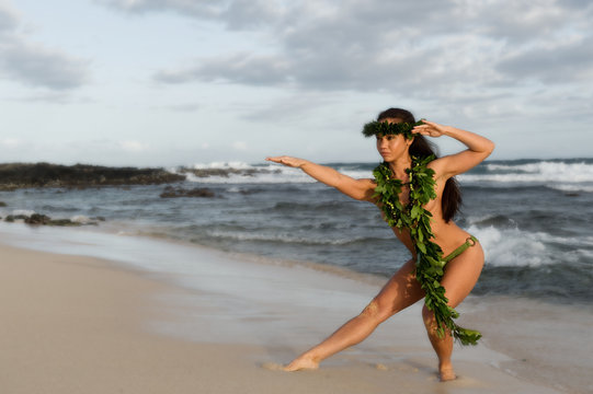 hawaiian hula dancer
