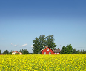 Skandinavia