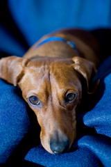 A relaxed model