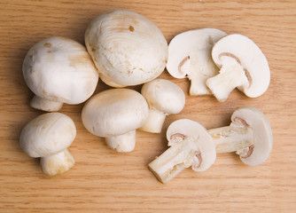 Mushroom