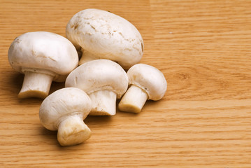 Mushroom close-up