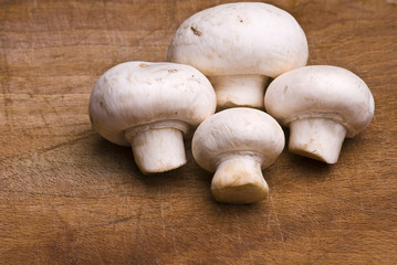 Mushroom close-up