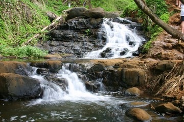 Obraz premium Hawaii Waterfall