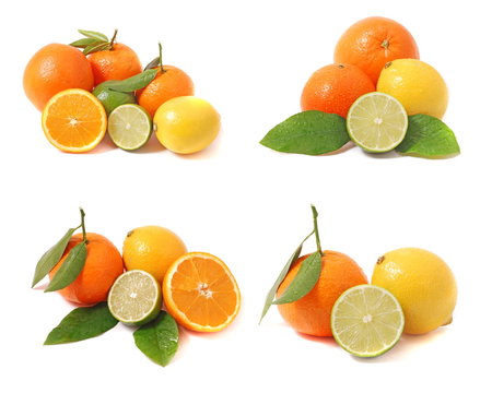 citrus collection 5