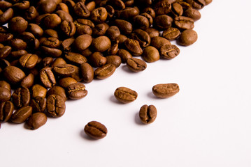 Close-up of coffee beans