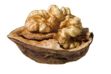 walnut