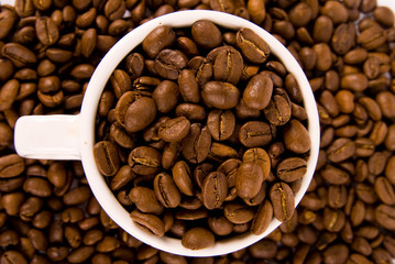Close-up of coffee beans in a cup