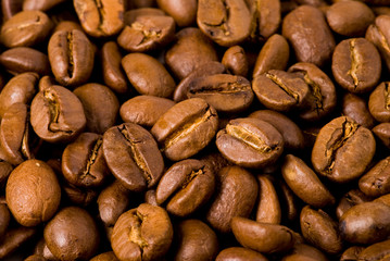 Close-up of coffee beans