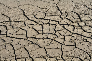 cracked land