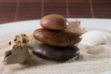 Der Sandteller mit Stein, Holz, und Muscheln